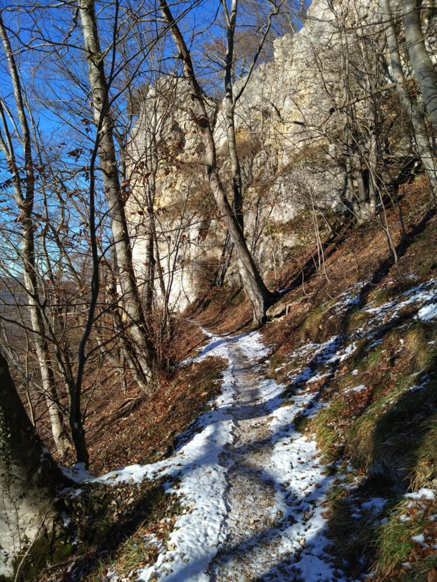 Ferienwohnung An Der Loipe Lichtenstein  Экстерьер фото